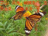 原創(chuàng)的地理歌謠，能唱的地理歌謠12