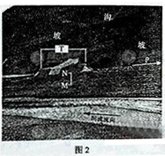課標(biāo)卷文科綜合地理答案解析4