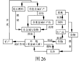高等院校招生全國統(tǒng)一考試（江蘇卷）地理試題26
