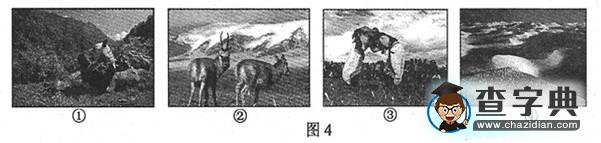 普通高等學(xué)校招生統(tǒng)一考試(江蘇卷) 地理試題（含答案）4