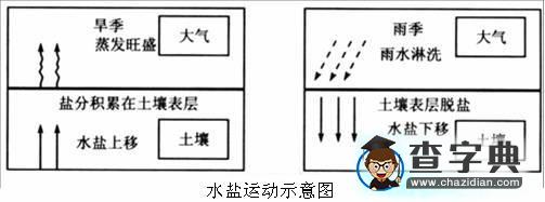 《鹽堿地的治理與開發(fā)》疑難解析1