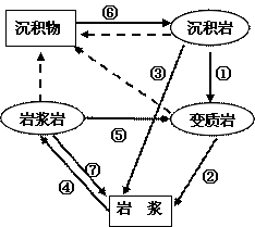 普通高等學(xué)校招生全國統(tǒng)一考試（上海）地理試卷（文科使用）1