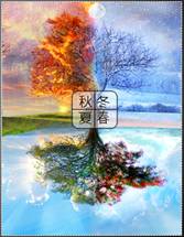 《地球的運(yùn)動(dòng)》教學(xué)設(shè)計(jì)36