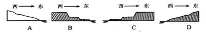 哈爾濱虹橋?qū)W校八年級（上）期末模擬試題1