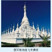 《第二節(jié)世界的語(yǔ)言和宗教》教學(xué)設(shè)計(jì)11