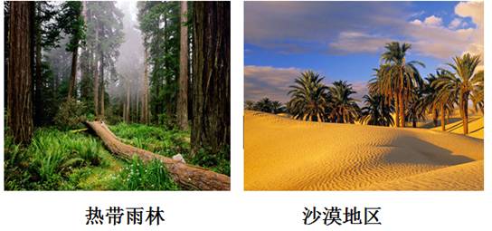 《第三節(jié)人類(lèi)的聚居地──聚落》教學(xué)設(shè)計(jì)12