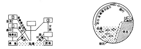 《面向海洋的開(kāi)放地區(qū)——珠江三角洲》地理專題復(fù)習(xí)5