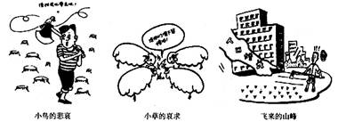 八上第三章地理測試題4