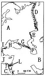七年級(jí)上冊(cè)期中學(xué)業(yè)水平測(cè)試7
