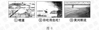 八年級地理 《中國自然資源》測試題4