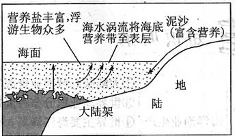 高一上學(xué)期期末檢測(cè)卷2