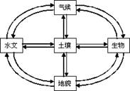 《第一節(jié)自然地理環(huán)境的整體性》地理教學設計11