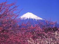 《第二節(jié)山地的形成》地理教學設(shè)計19