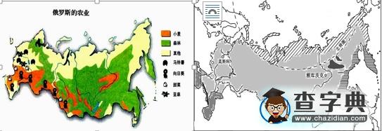 《俄羅斯》同步測(cè)試3