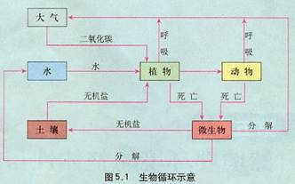 《第一節(jié)自然地理環(huán)境的整體性》地理教學設計6