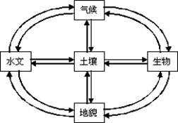 《第一節(jié)自然地理環(huán)境的整體性》地理教學設計8