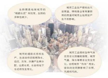 《第三節(jié)城市化》地理教學(xué)設(shè)計(jì)（第2課時(shí)）4