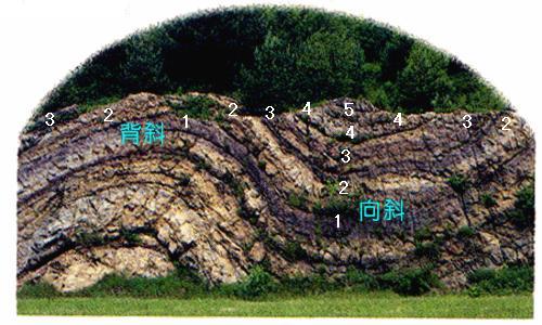 《第二節(jié)山地的形成》地理教學設(shè)計8