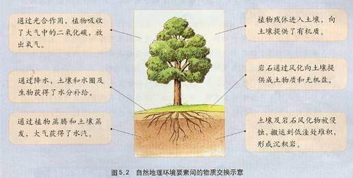 《第一節(jié)自然地理環(huán)境的整體性》地理教學設計7