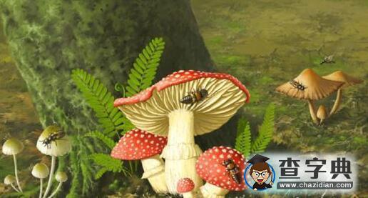 誰在享用蘑菇大餐？1