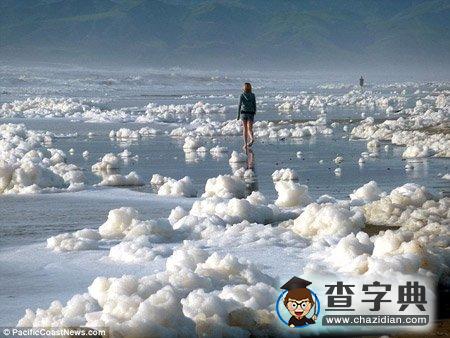 美國(guó)加州海岸變成“泡泡浴場(chǎng)”2