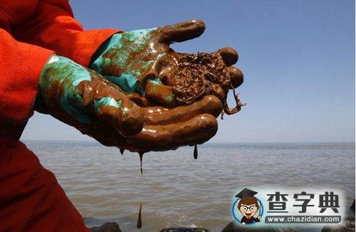 墨西哥灣油污繼續(xù)蔓延2
