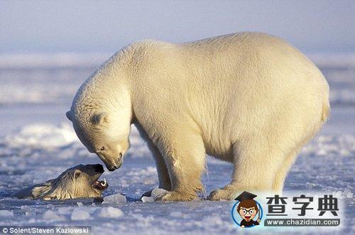 科學(xué)家發(fā)表聯(lián)名信呼吁保護(hù)生物多樣性1