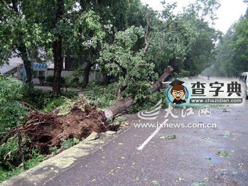 江西泰和縣遭10厘米冰雹侵襲1