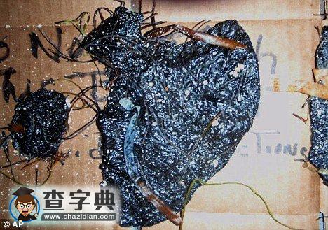 衛(wèi)星照片顯示漏油仍在擴散2