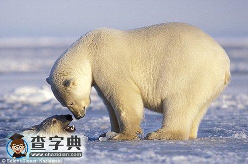 3萬種植物5千種動物瀕臨滅絕1