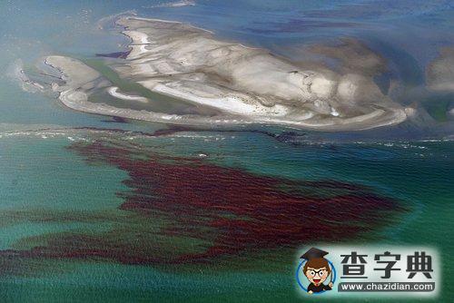 墨西哥灣“控油罩”行動(dòng)失敗2