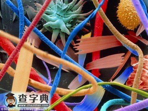 電子顯微鏡下的微觀世界2