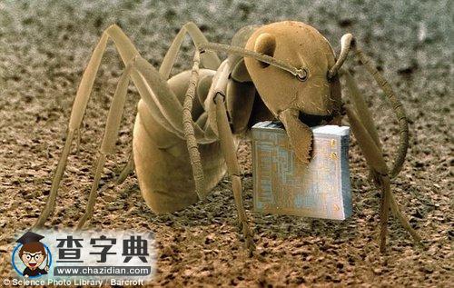 電子顯微鏡下的微觀世界1