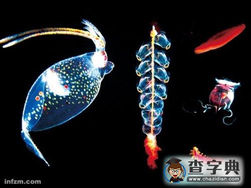 潛入深海難度不亞于神六1