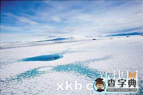 南極海冰持續(xù)融化斷裂 企鵝命運進入倒計時1