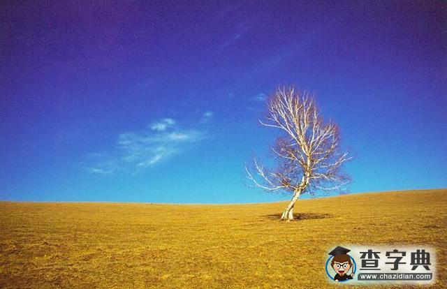 未來百年內(nèi)或?qū)l(fā)生第六次大滅絕1