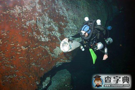 深海藍洞發(fā)現(xiàn)奇特生物  暗示木衛(wèi)二或存生命1