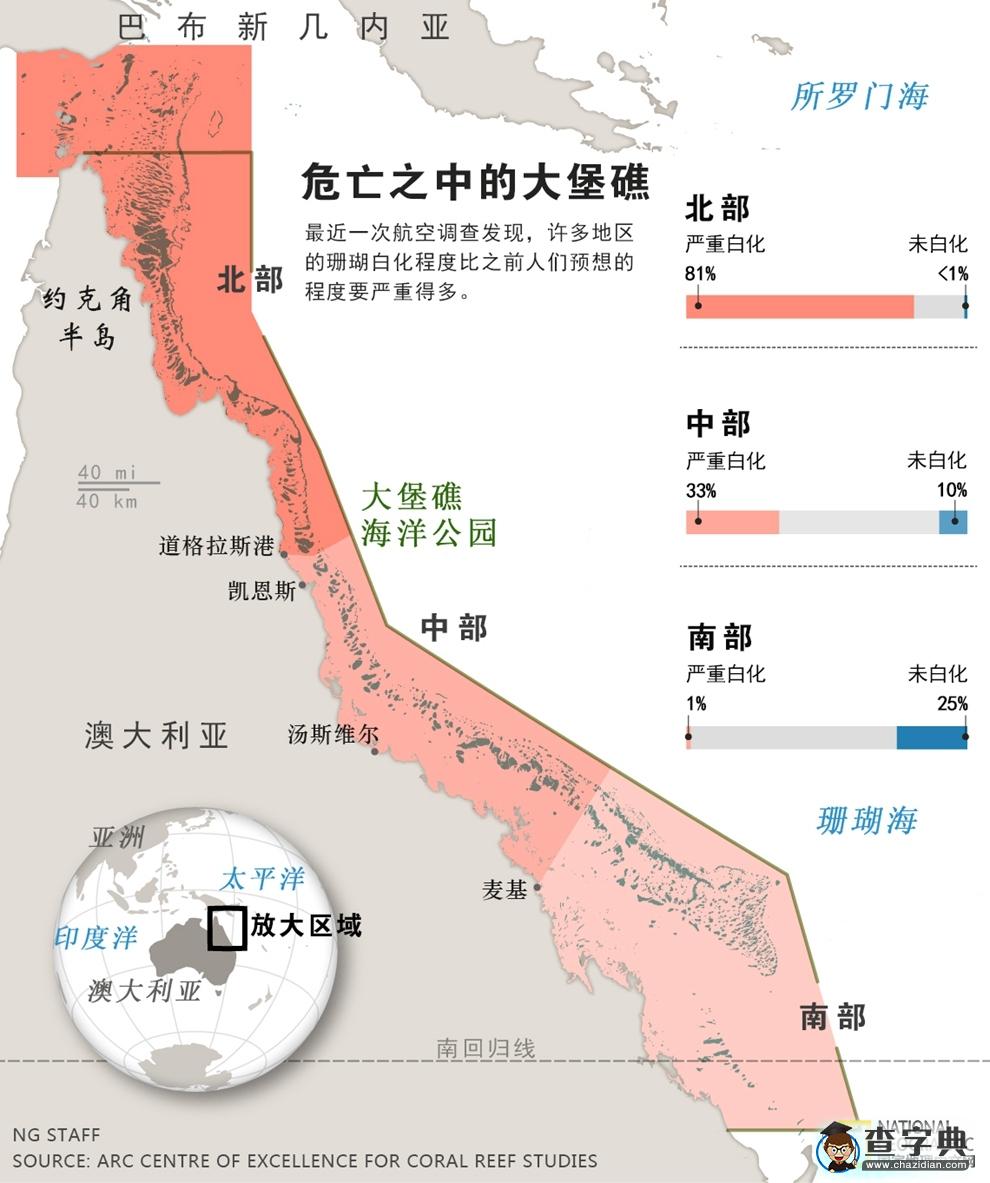 大堡礁瀕危！93%珊瑚礁白化1
