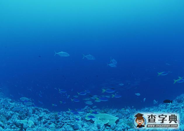 中國將建國家海底科學(xué)觀測網(wǎng) 總投資超20億元1