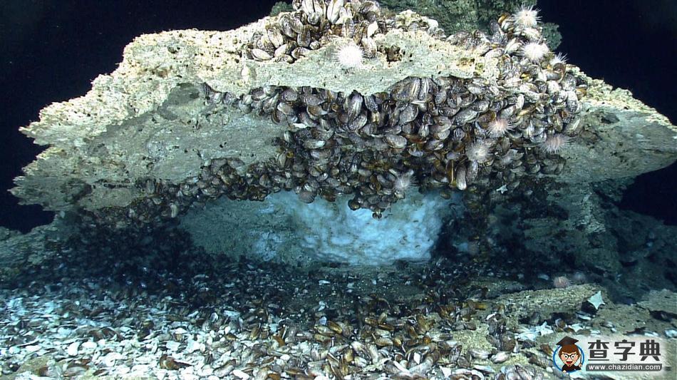 神秘可燃冰長這樣：海底深處沉睡的能量9