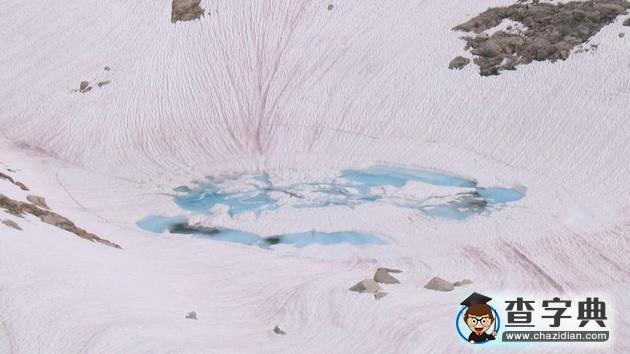 神秘“粉雪”促使全球冰川快速融化:寄居雪中的紅藻1