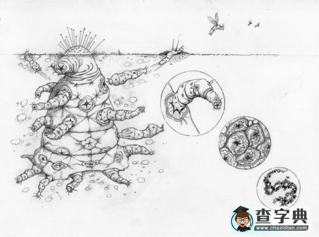 外星人或也遵循達(dá)爾文進(jìn)化論：適者才能生存2
