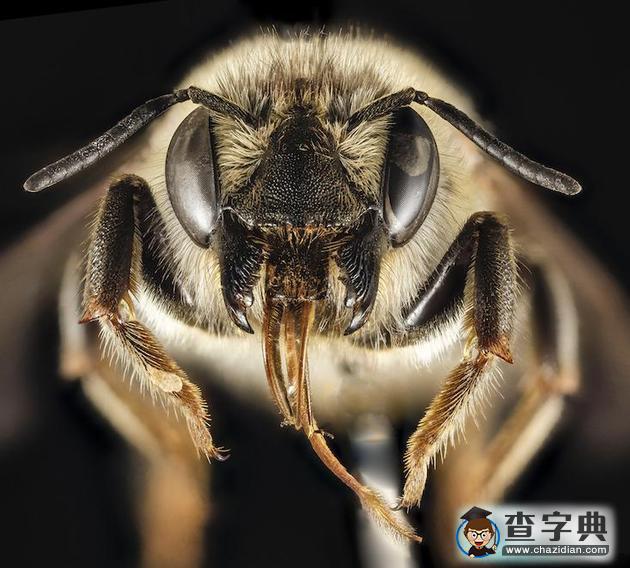 氣候變化產(chǎn)生的七種驚人影響:人類性生活減少6