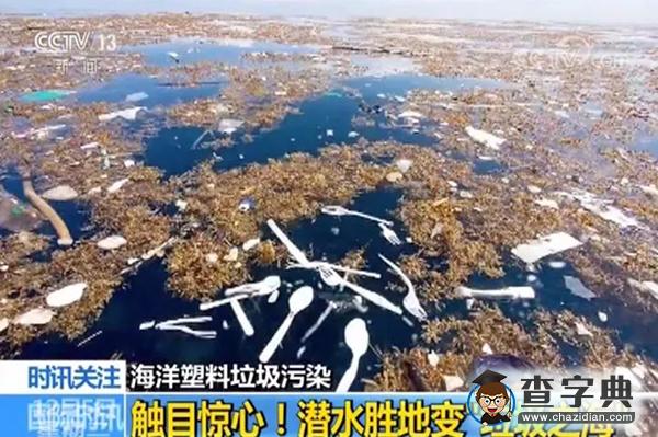因很多人每天扔掉這種東西 一個全新“國家”或誕生4
