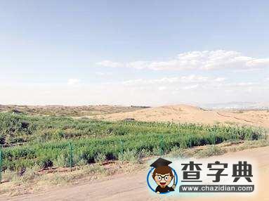 “沙漠變良田”:偽科學(xué)還是大突破1