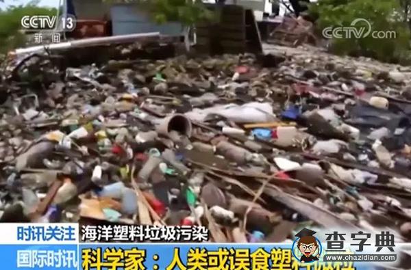 因很多人每天扔掉這種東西 一個全新“國家”或誕生7