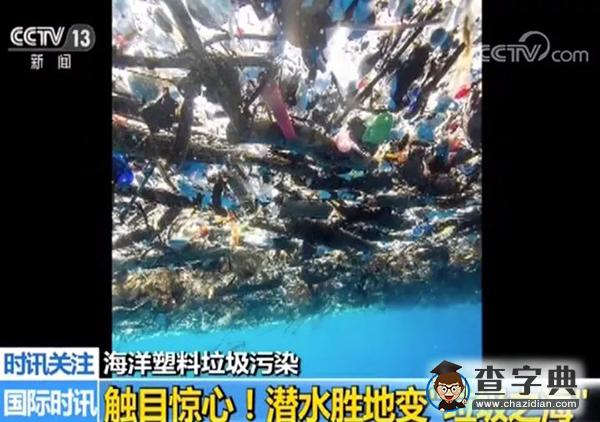 因很多人每天扔掉這種東西 一個全新“國家”或誕生5