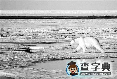 北極面臨真正“無冰”？取決于全球升溫有幾分1