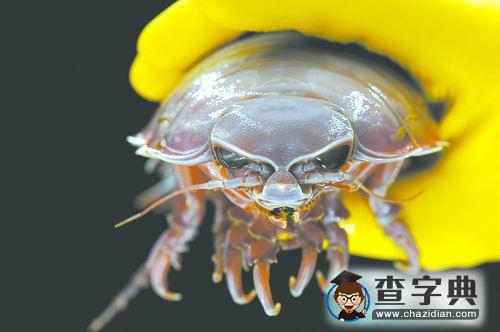 探秘海底的“生命綠洲”1