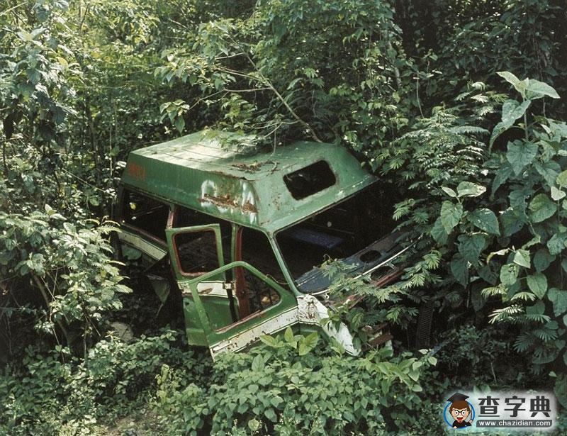 被遺忘的風(fēng)景線：世界各地廢棄物悄然融入自然26